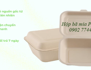 Hộp bã mía 1 ngăn nắp liền 450ml